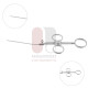 Krause Ear Snare