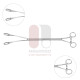 MICS Forester Lung Forceps