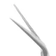 Converse Nasal Scissors, Angled up
