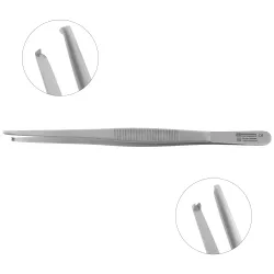 General Tissue Forceps - Toothed