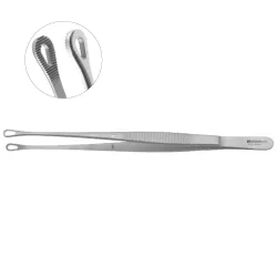 キャスパーIVD齧歯類