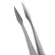 Walter Splinter Forceps