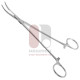 Schnidt Tonsil Hemostatic Forceps Schnidt Tonsil Hemostatic Forceps