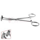Pitanguy Flap-Grasping Forceps Pitanguy Flap-Grasping Forceps