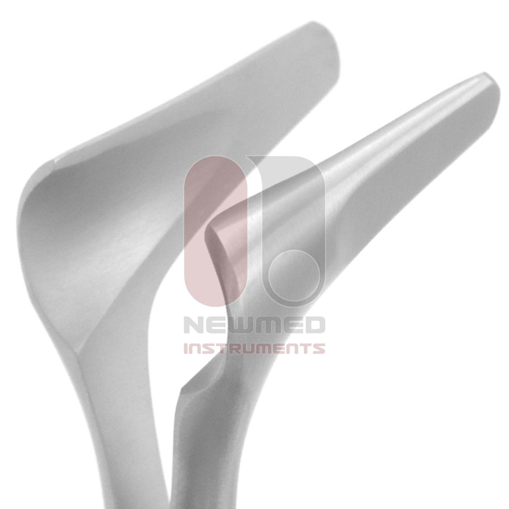 Cottle Nasal Speculum #2 Cottle Nasal Speculum #2