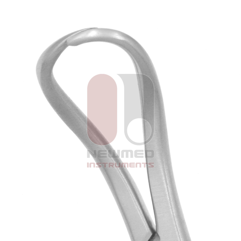 Abrazadera para toallas Backhaus