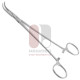 Adson-Baby Forceps - Curved Very Delicate Jaw Adson-Baby Forceps - Curved Very Delicate Jaw