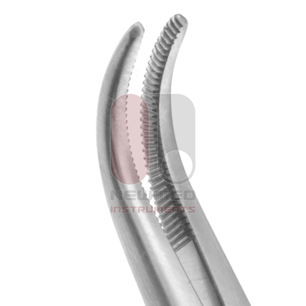 Adson-Baby Forceps - Curved Very Delicate Jaw Adson-Baby Forceps - Curved Very Delicate Jaw