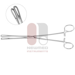 Rampley Sponge Holding Forceps Rampley Sponge Holding Forceps
