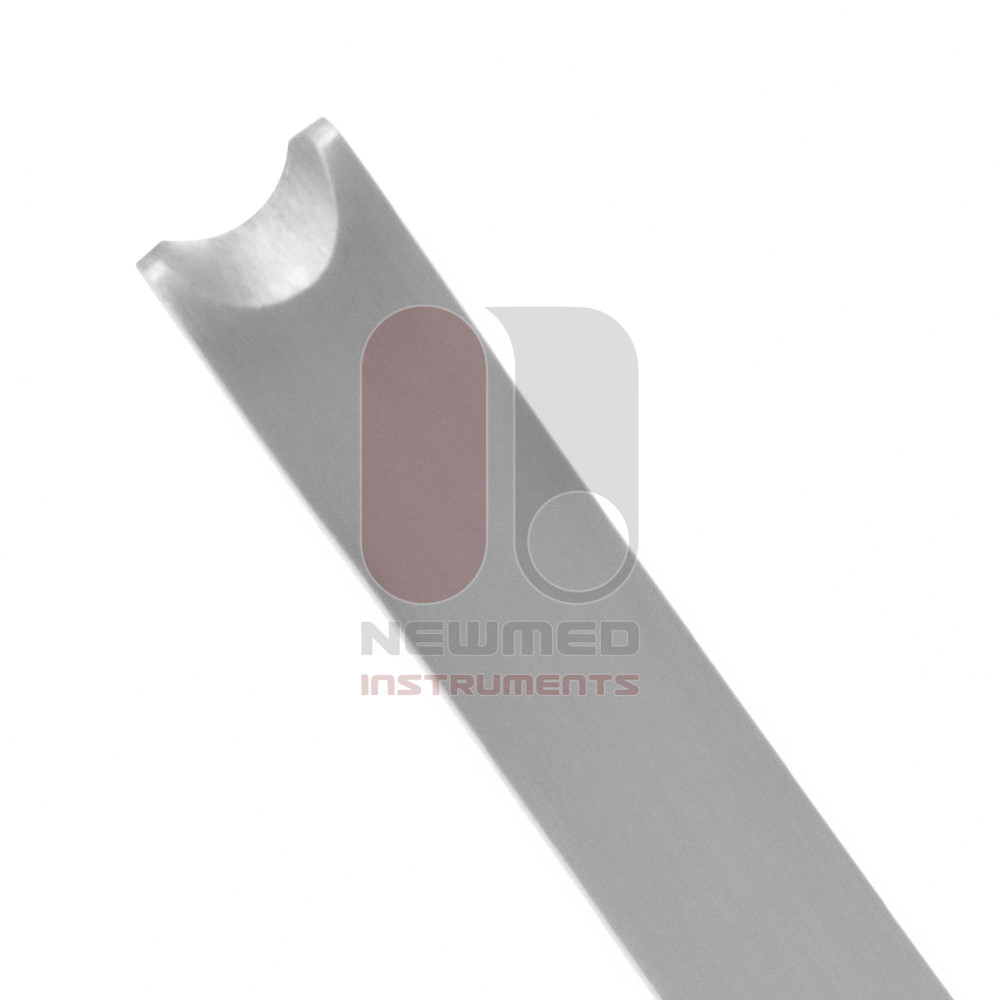 Walter Nasal Chisel
