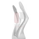 Upper Root Dental Forceps Bayonet Standard Tip-Diamond