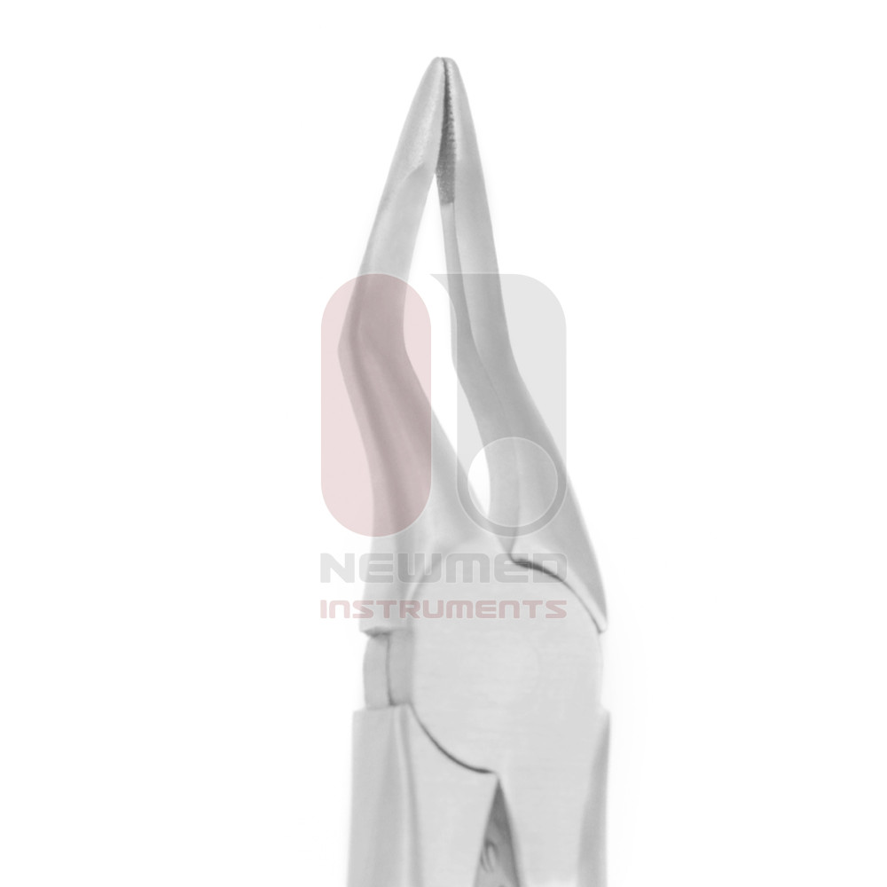 Upper Root Dental Forceps Bayonet Standard Tip-Diamond