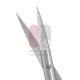 Aufricht Fine Scissors, straight Blades.