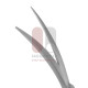 Iris Scissors - Tungsten Carbide Serrated Iris Scissors - Tungsten Carbide Serrated