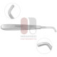 Cleft Palate Rasp - curved up Cleft Palate Rasp - curved up