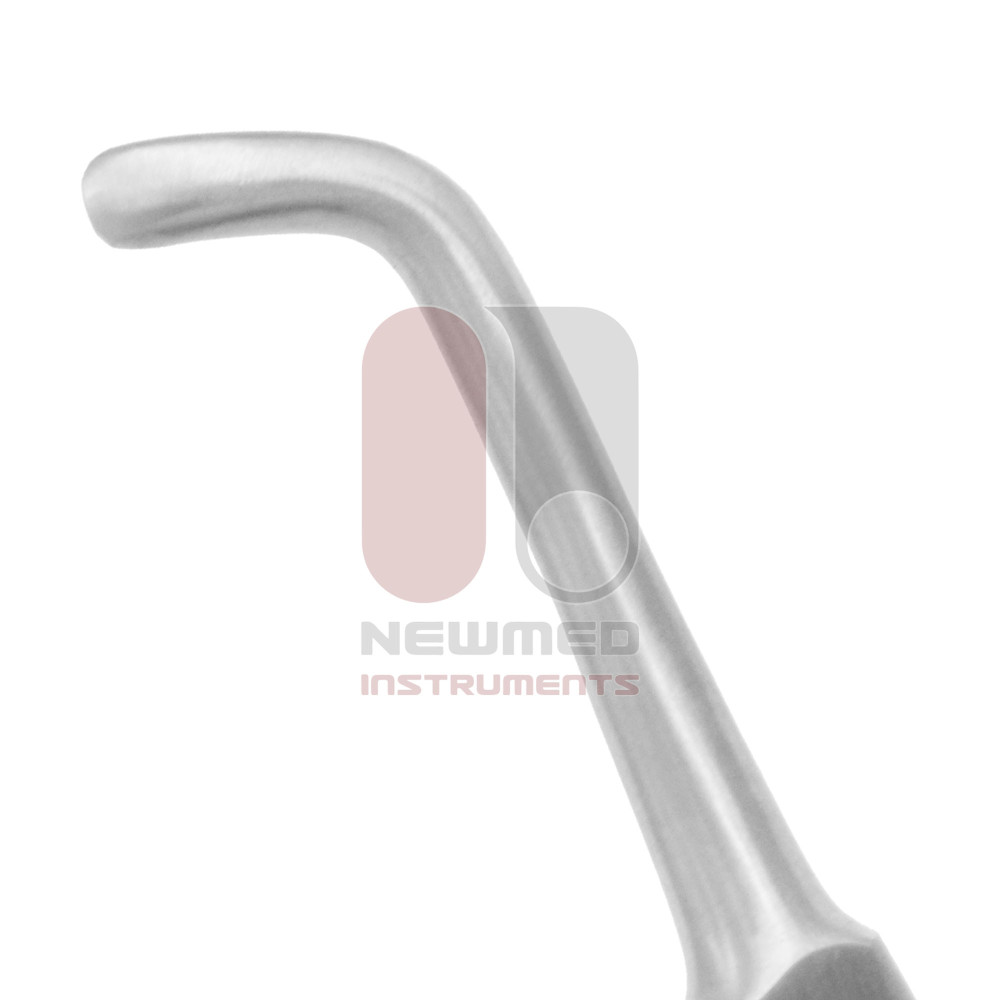Cleft Palate Rasp - curved up Cleft Palate Rasp - curved up