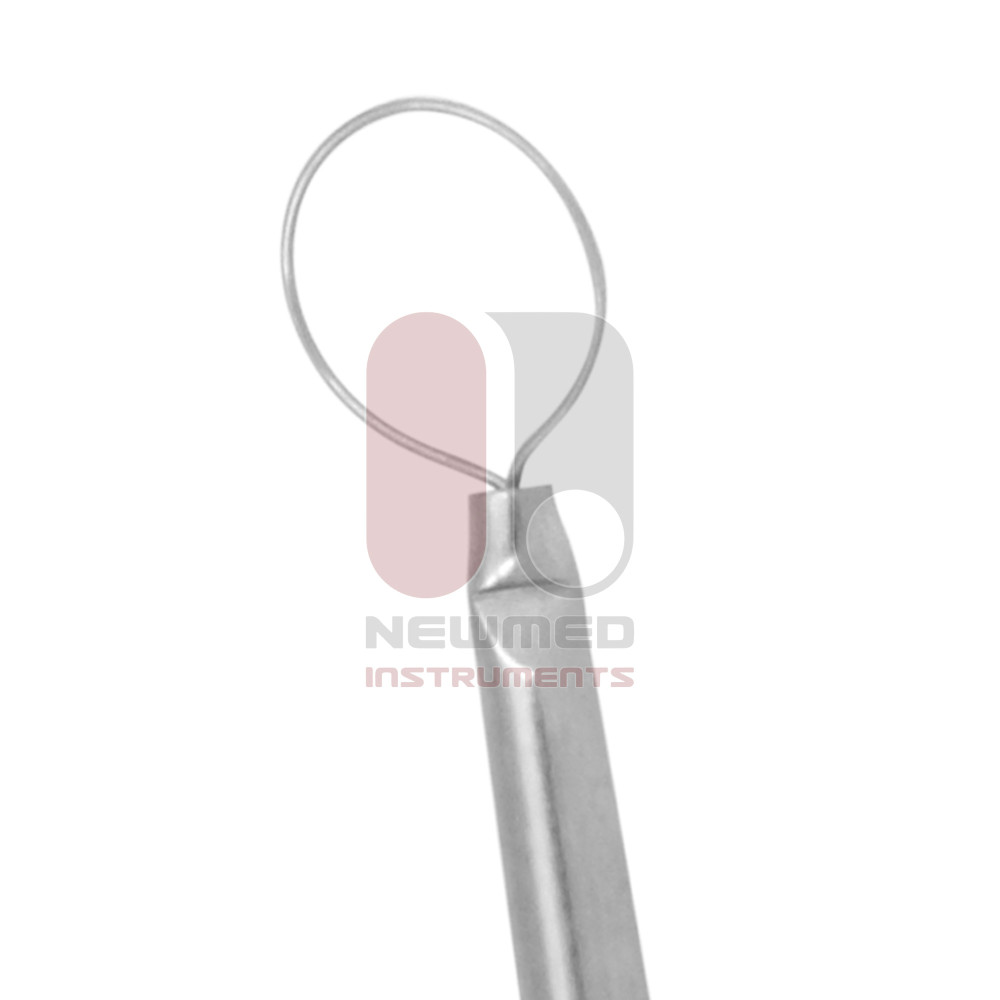 Circle Loop Electrode