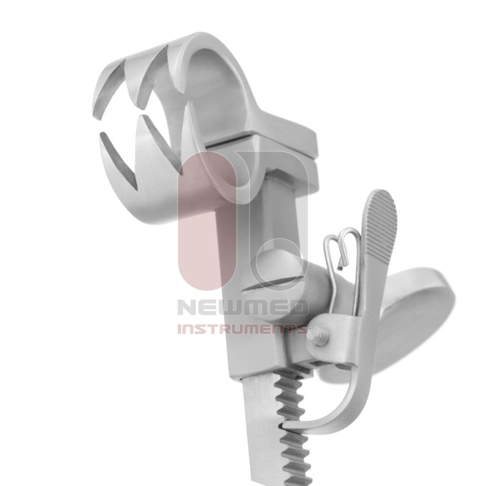 Bailey Rib Contractor