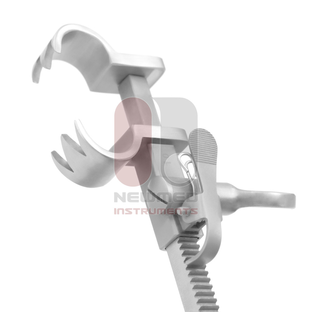 Bailey Rib Contractor