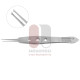 Fechtner Conjunctiva Forceps Fechtner Conjunctiva Forceps