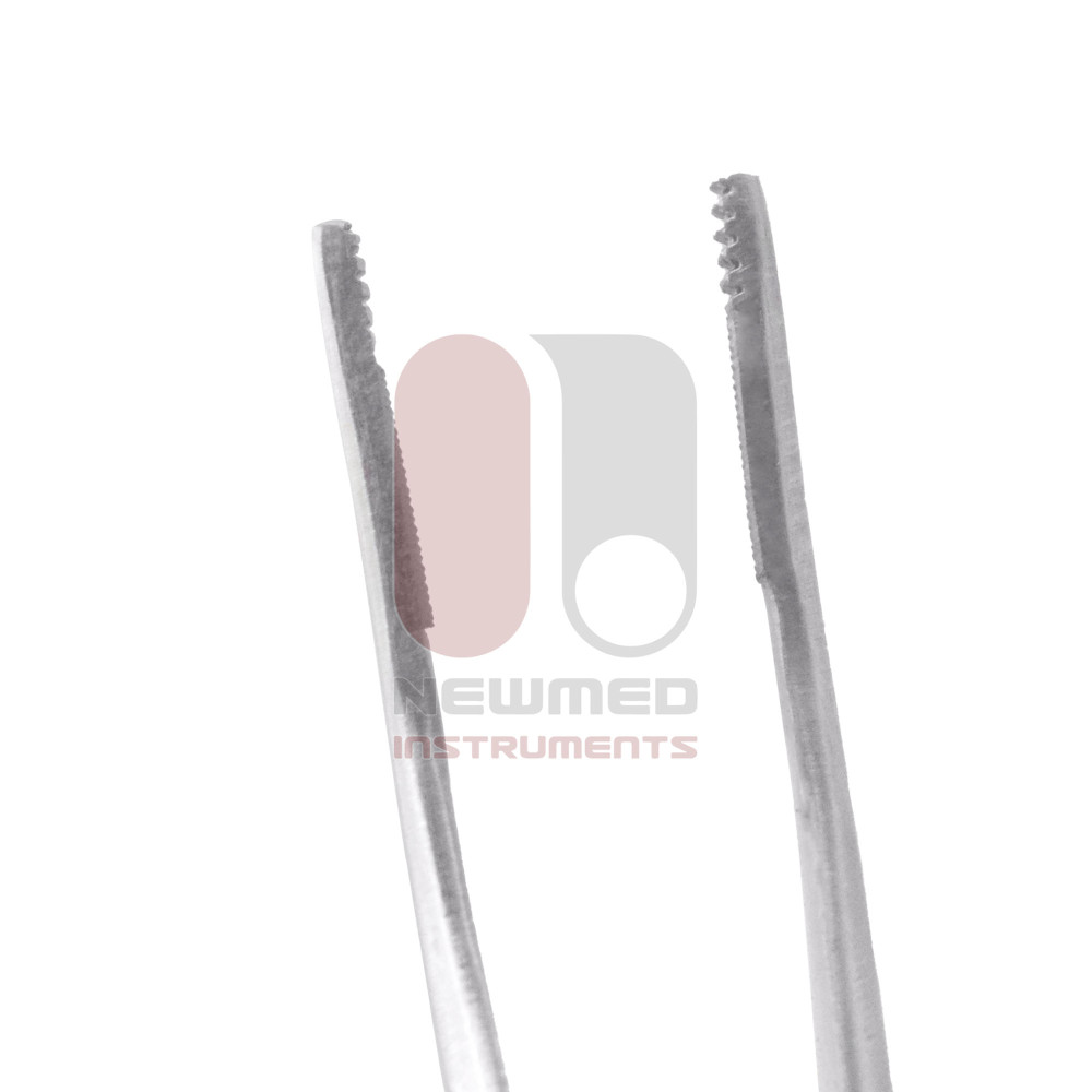 Adson-Brown Tissue Forceps - Tungsten Carbide Serrated 7x7 Teeth Adson-Brown Tissue Forceps - Tungsten Carbide Serrated 7x7 Teeth
