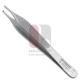 Adson Tissue Forceps - 2x3 Teeth Adson Tissue Forceps - 2x3 Teeth