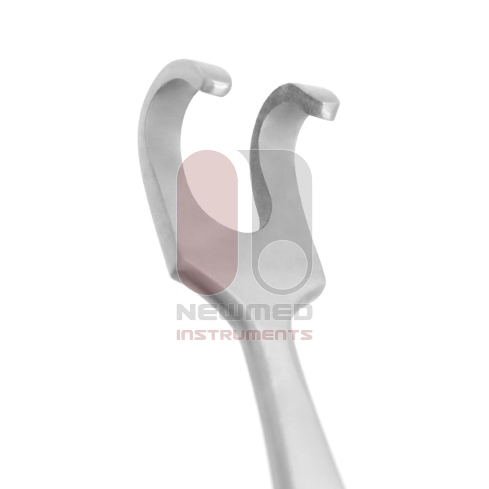 Aufricht Walter Écarteur Nasal