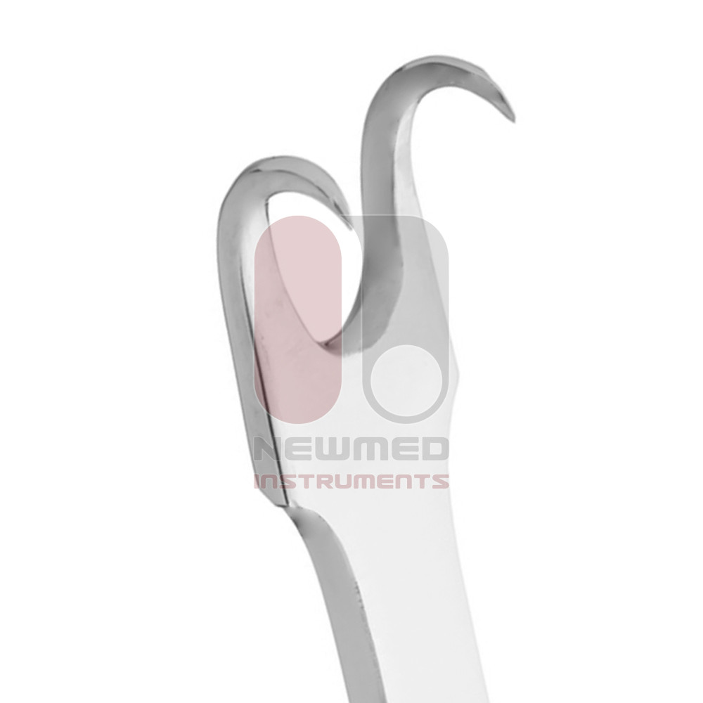 Swivel Ring Nasal Retractor