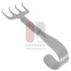 Gorney Rake Retractor