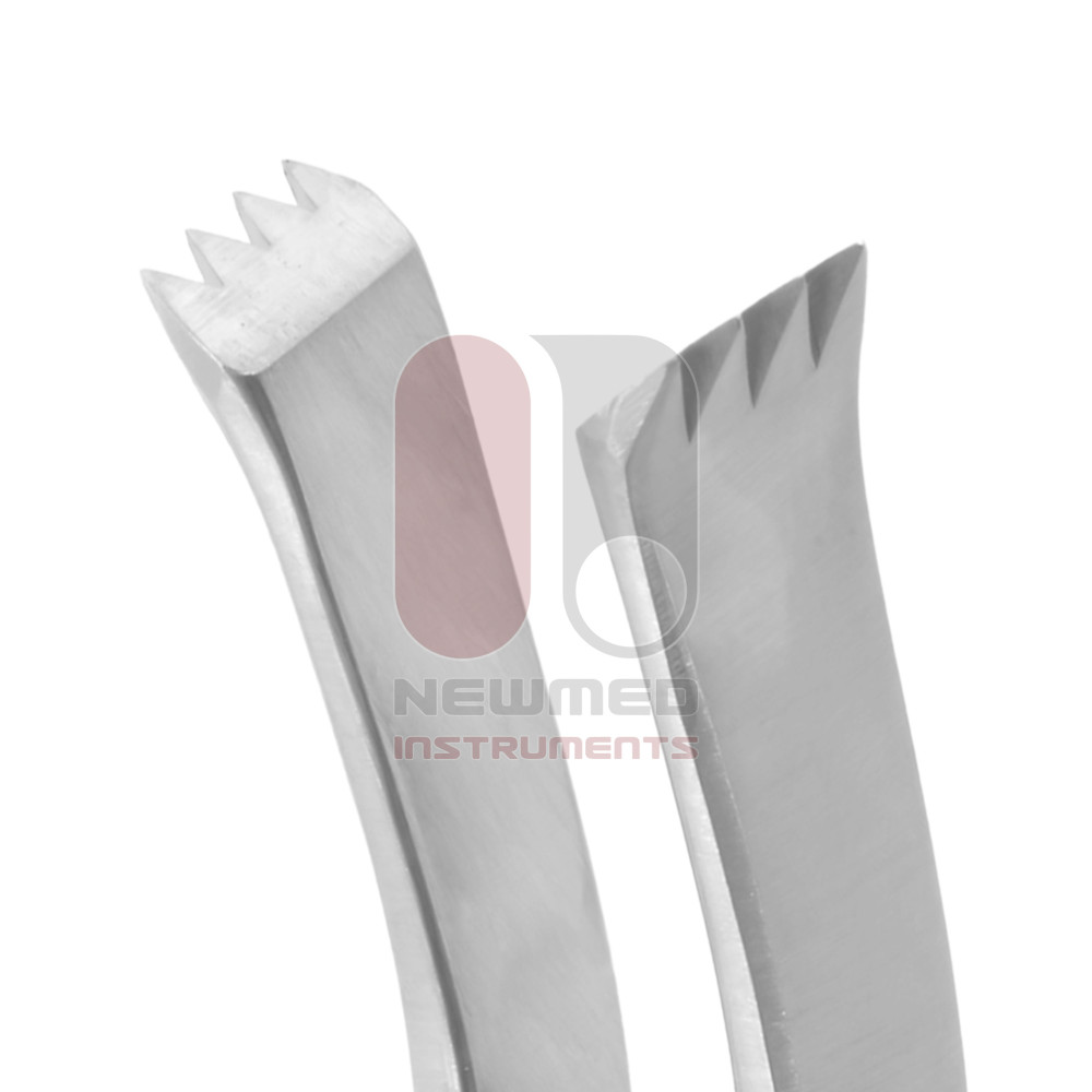 Inge ラミナスプレッダー（歯付き）