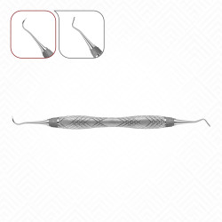 1 Anterior Scaler 1 Anterior Scaler