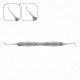 1 Anterior Scaler