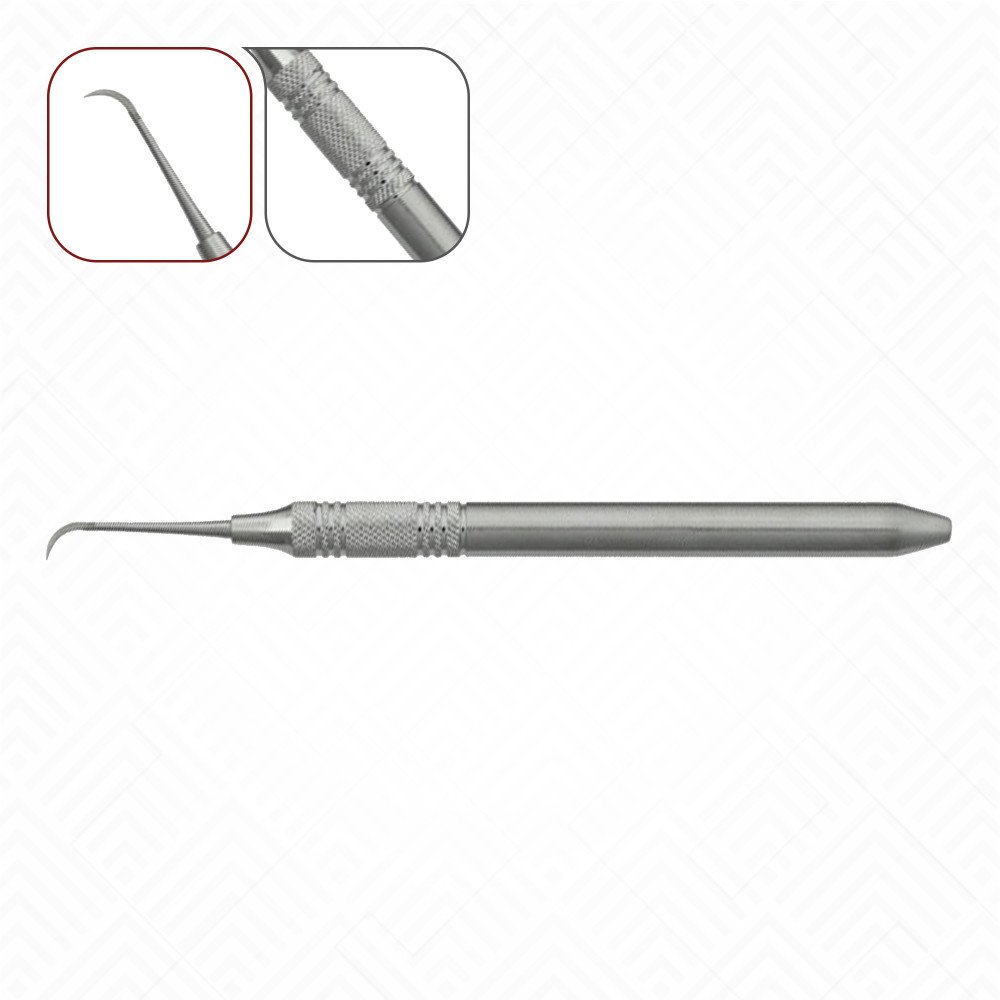 1 Springfield Anterior Scaler