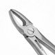 1 Extraction Dental Forceps