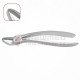 19 Extraction Dental Forceps