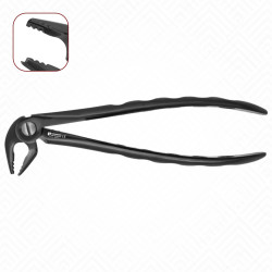 22N Gentle Extraction Forceps X 22N Gentle Extraction Forceps X