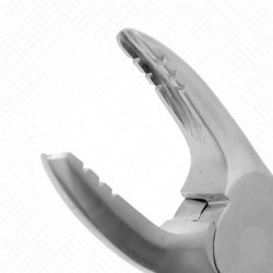 29 Gentle Extraction Child Forceps