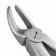 30 Extraction Dental Forceps