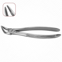 31 Extraction Dental Forceps