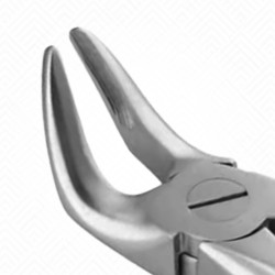31 Extraction Dental Forceps
