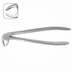 33 Extraction Dental Forceps