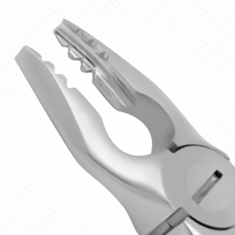 34N Gentle Extraction Forceps