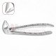 36N Gentle Extraction Forceps