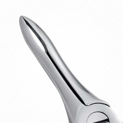 41 Extraction Dental Forceps