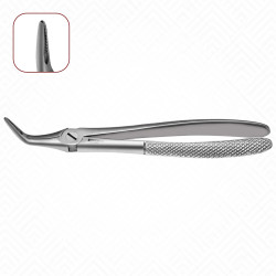 46L Extraction Dental Forceps