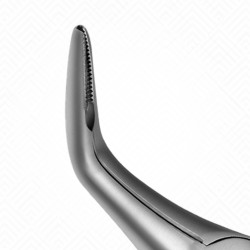 46L Extraction Dental Forceps