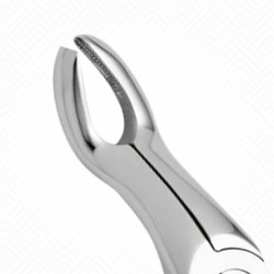 67A Extraction Dental Forceps