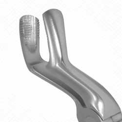 67A Gentle Extraction Forceps X