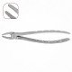 7 Extraction Dental Forceps