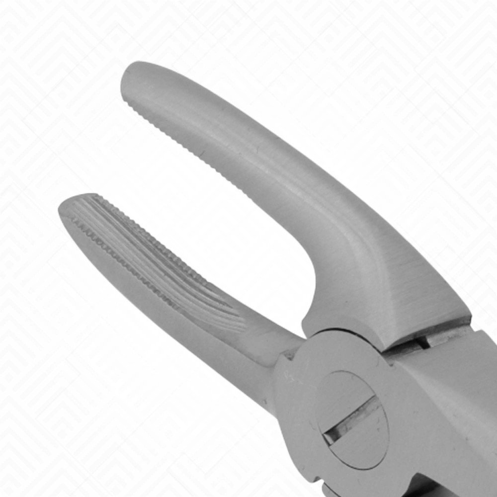 7 Extraction Dental Forceps